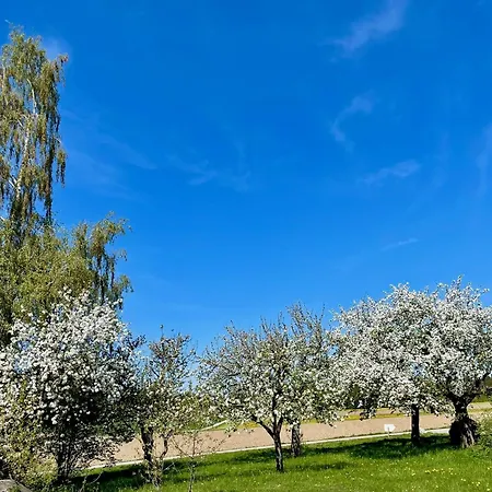 Panoramablick Am Herzoghof Obing